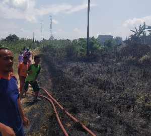 Kebakaran Lahan di Muara Dua Lhokseumawe