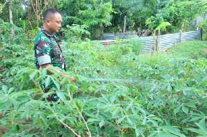 Denbekang 00-44-01/MBO Manfaatkan Lahan Kosong