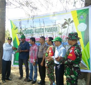 Mahasiswa KKM Umuslim Gelar Kegiatan Reboisasi Pantai Pangah