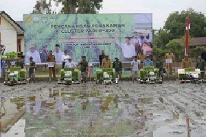 Penanaman Perdana Cluster Padi IP 300