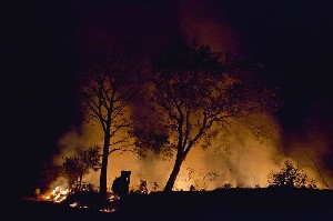 Kebakaran Lahan di Lamreung