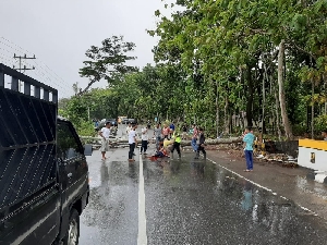 Seorang Pengendara Tewas Tertimpa Pohon Yang Tumbang