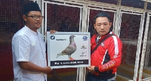 Mencengangkan! Harga Burung Merpati Ini 1 Milyar