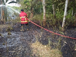 Lahan Terbakar di Suka Makmur, Diduga Sengaja Dibakar Pemiliknya