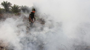 Polri Tetapkan 87 Tersangka Karhutla