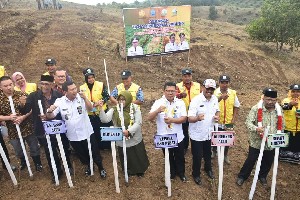 Bireuen Kembangkan 11.047 Hektar Jagung Hibrida