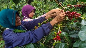 Romansa Takengon Festival Hadirkan Ragam Kegiatan Menarik dan Seru